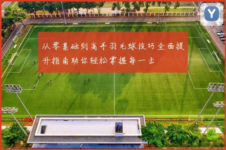 从零基础到高手羽毛球技巧全面提升指南助你轻松掌握每一击